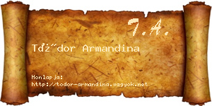 Tódor Armandina névjegykártya